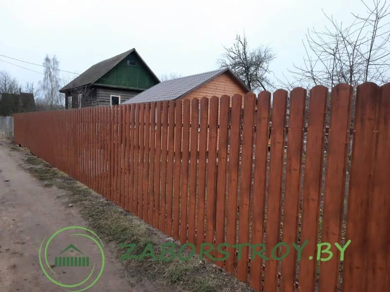 Портрет человека